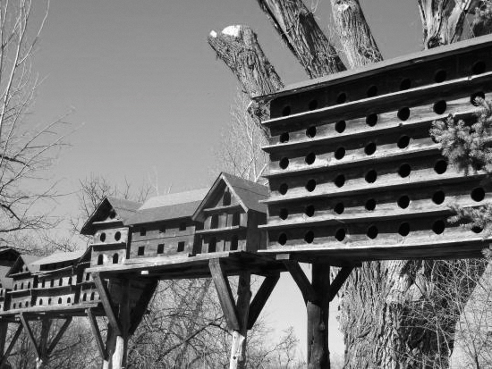 Bird_houses_at_Mable_Dodge_Luhan_house_in_Taos_2.jpg