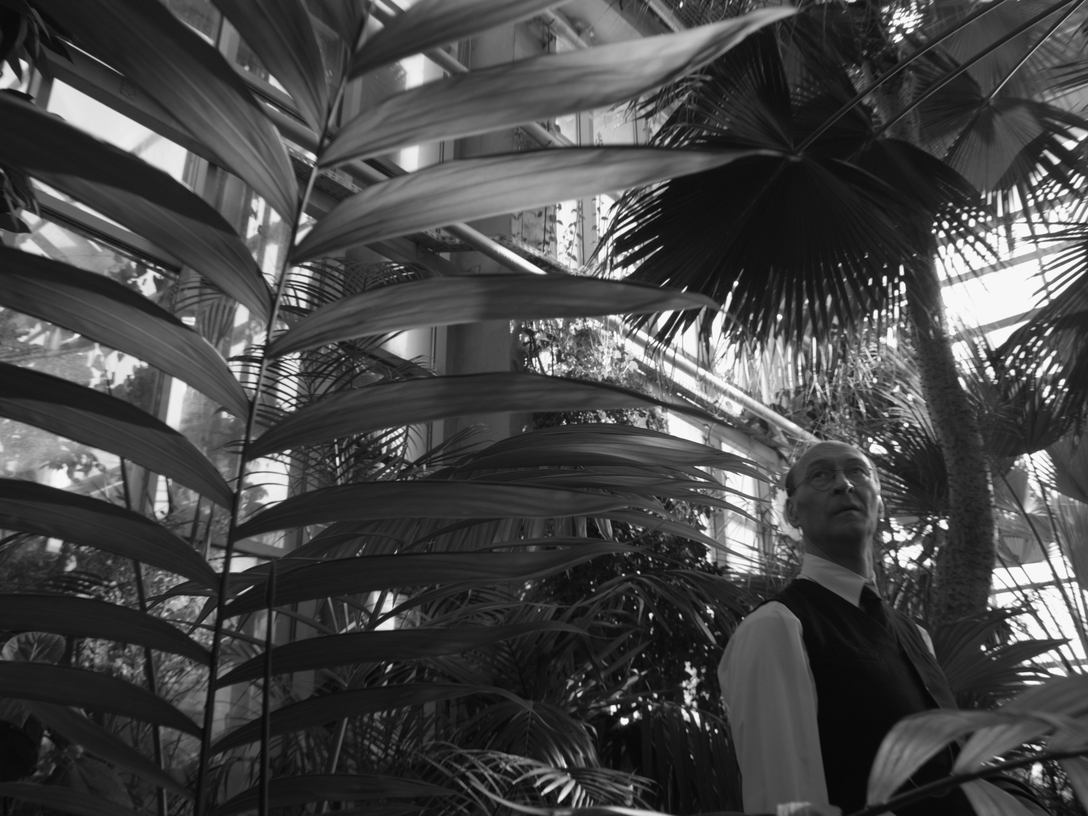 Nova Lituania - Still 2