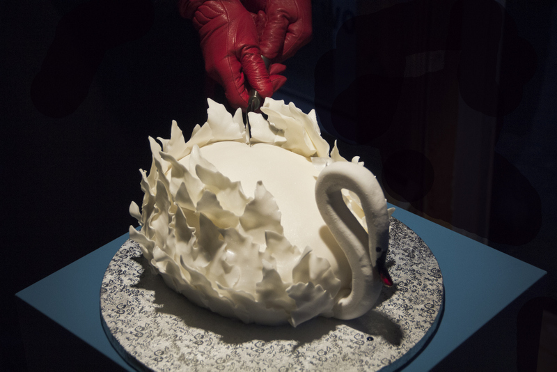 1 swan-001
