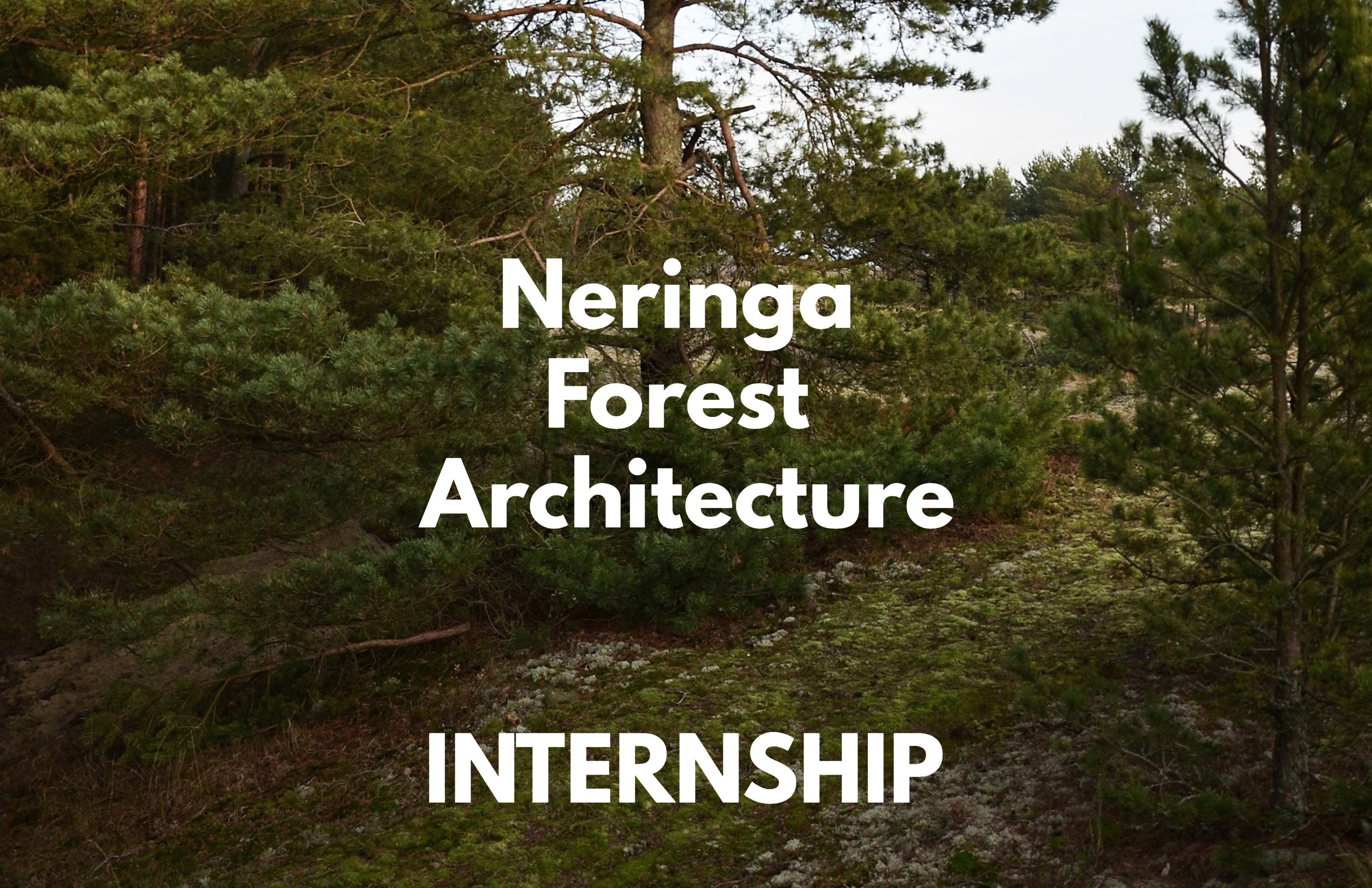 internship9